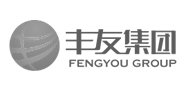 豐友集團(tuán)